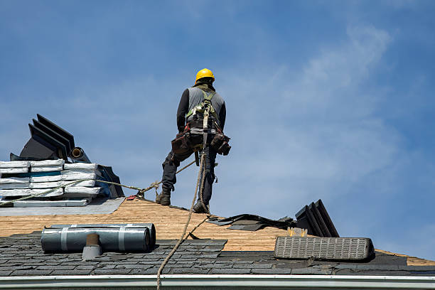 Professional Roof Replacement technician working in Canyon Dam, CA